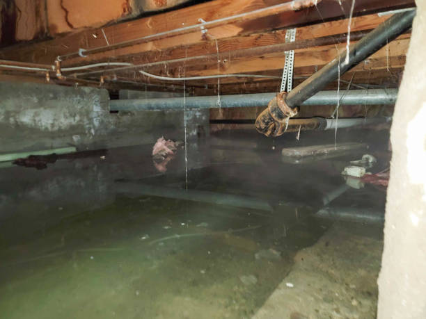 Best Water damage restoration near me  in Loudonville, NY