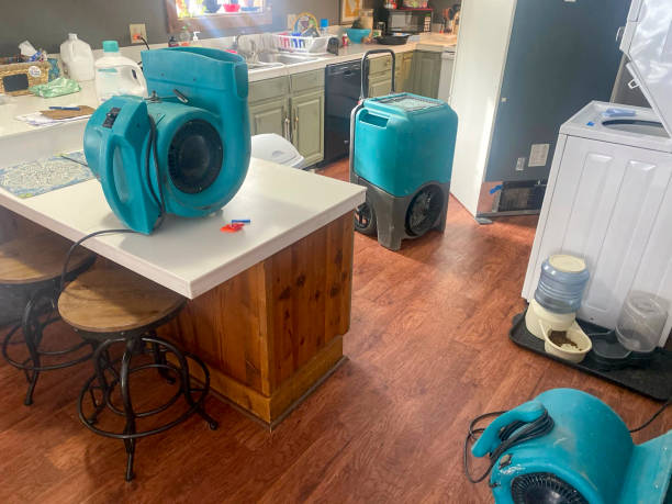 Best Residential water damage restoration  in Loudonville, NY
