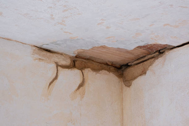 Best Water damage cleanup near me  in Loudonville, NY