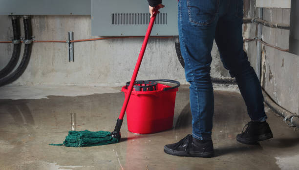 Best Fire Damage Restoration  in Loudonville, NY