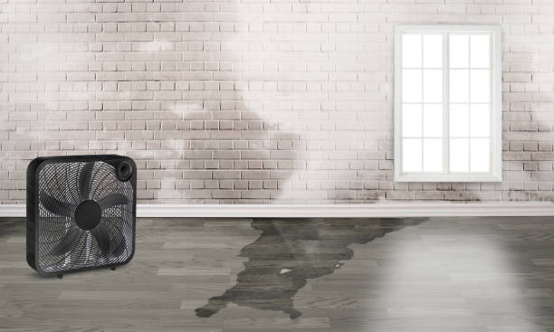 Carpet water damage restoration in Loudonville, NY