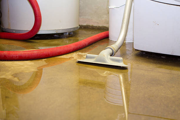 Best Water damage restoration services  in Loudonville, NY