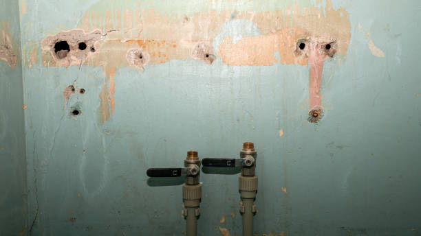 Best 24/7 water damage repair  in Loudonville, NY
