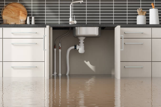 Best Local water damage restoration  in Loudonville, NY