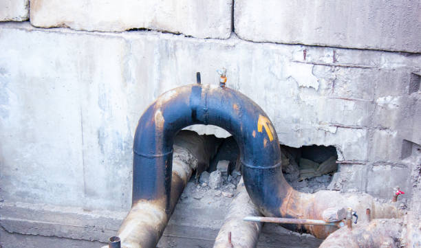 Best Professional water damage repair  in Loudonville, NY
